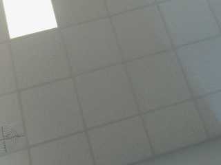 snapshot T2195
