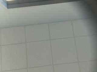 snapshot T2238